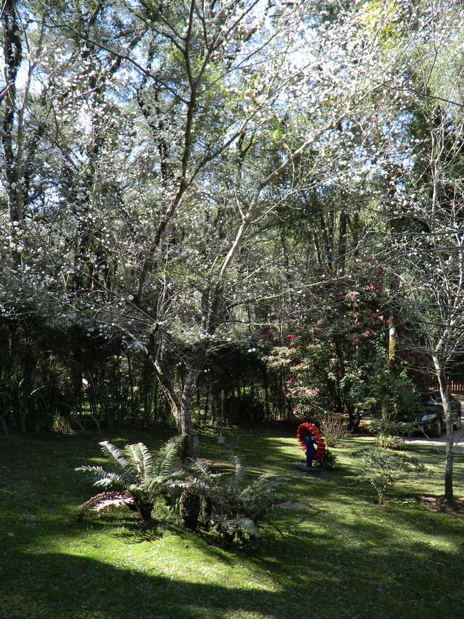 Recanto Dos Kerr Monte Verde  Buitenkant foto